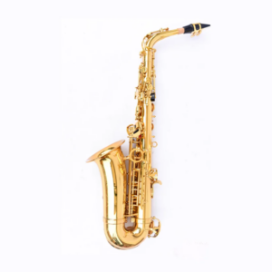 SAXOFON ALTO AYSON DORADO